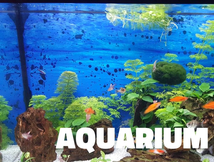 Aquarium LED Beleuchtung